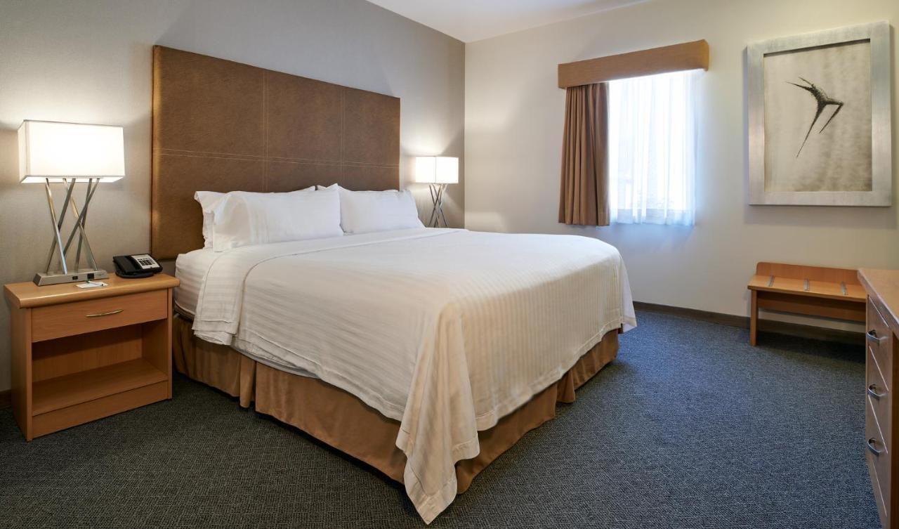 Holiday Inn Hotel & Suites Chihuahua By Ihg Kültér fotó